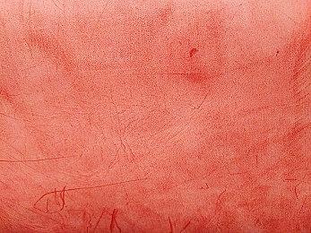 《塞尔达传说：王国之泪》容量降至16G 仍为NS第一方游戏之最